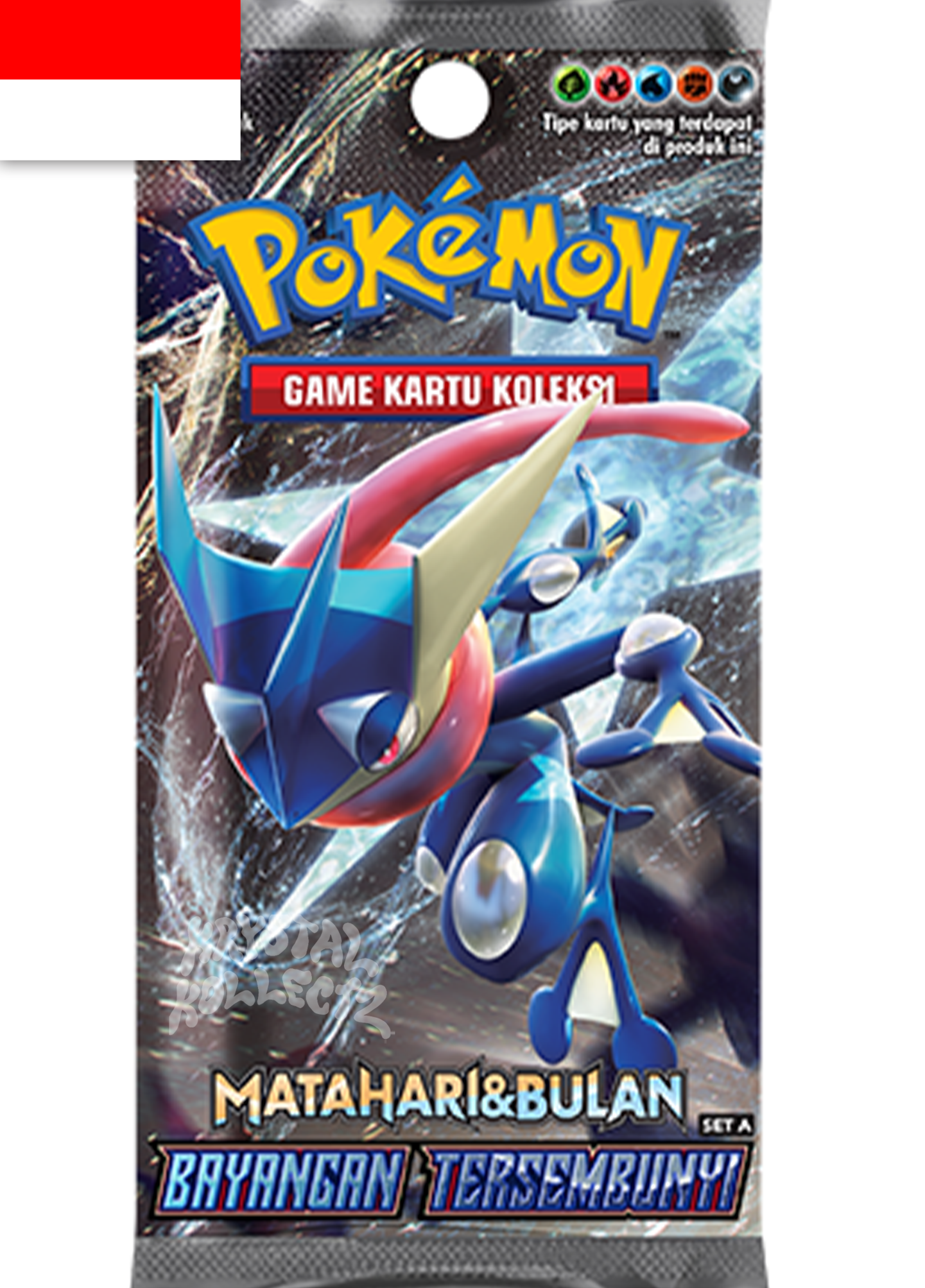 Bayangan Tersembunyi Set A Hidden Shadow Pokemon Booster Box KrystalKollectz 2019 Matahari Dan Bulan Indonesian Indonesia Pokemon cards set list Greninja