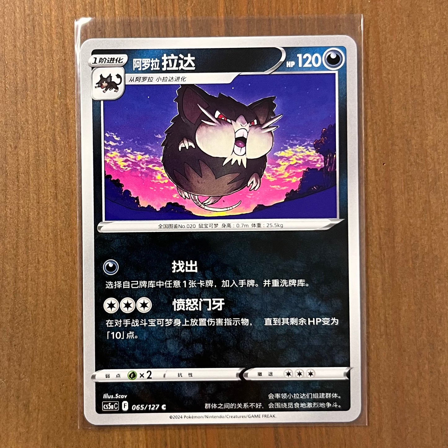 Alolan Raticate - Charming Stars - Chinese Exclusive